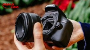 Canon EOS 4000D and EF-S 18-55mm II Lens