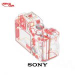 sonyalphaa7iiipic10