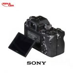 sonyalphaa9pic10