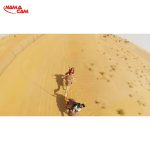 مونوپاد سه متری اینستا360
