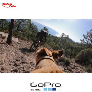 مانت اتصال گوپرو به حیوانات – Fetch Dog Harness