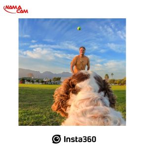 مانت حیوانات خانگی اینستا360 برای Go3/3s/نماکم