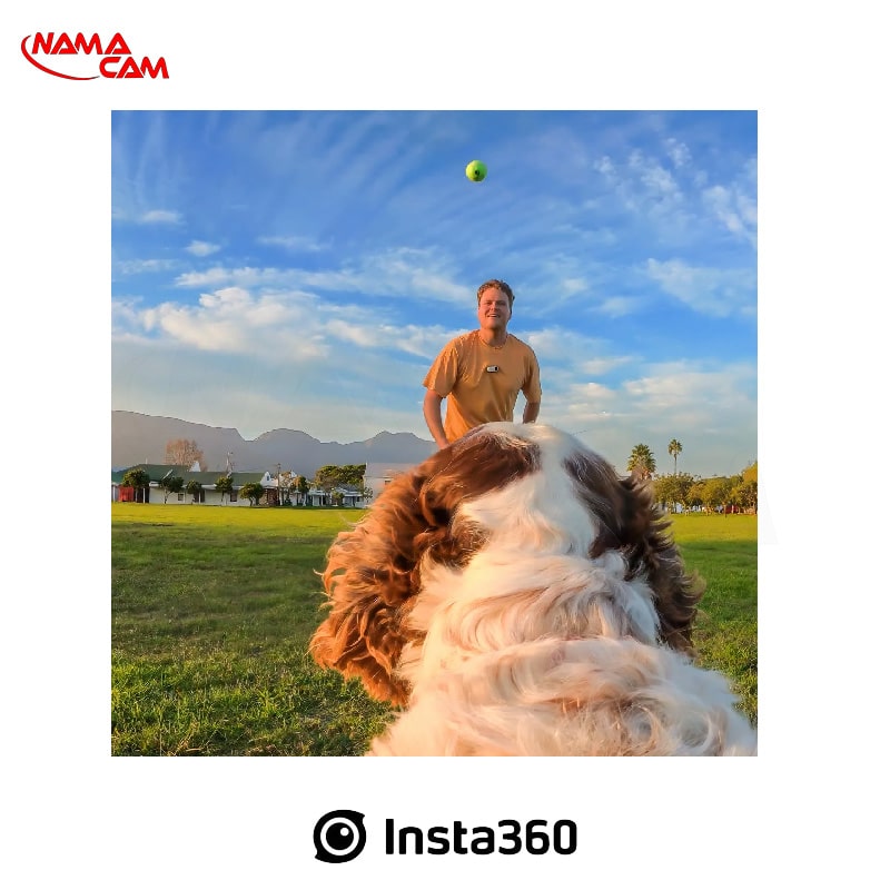 مانت حیوانات خانگی اینستا360 برای Go3/3s/نماکم