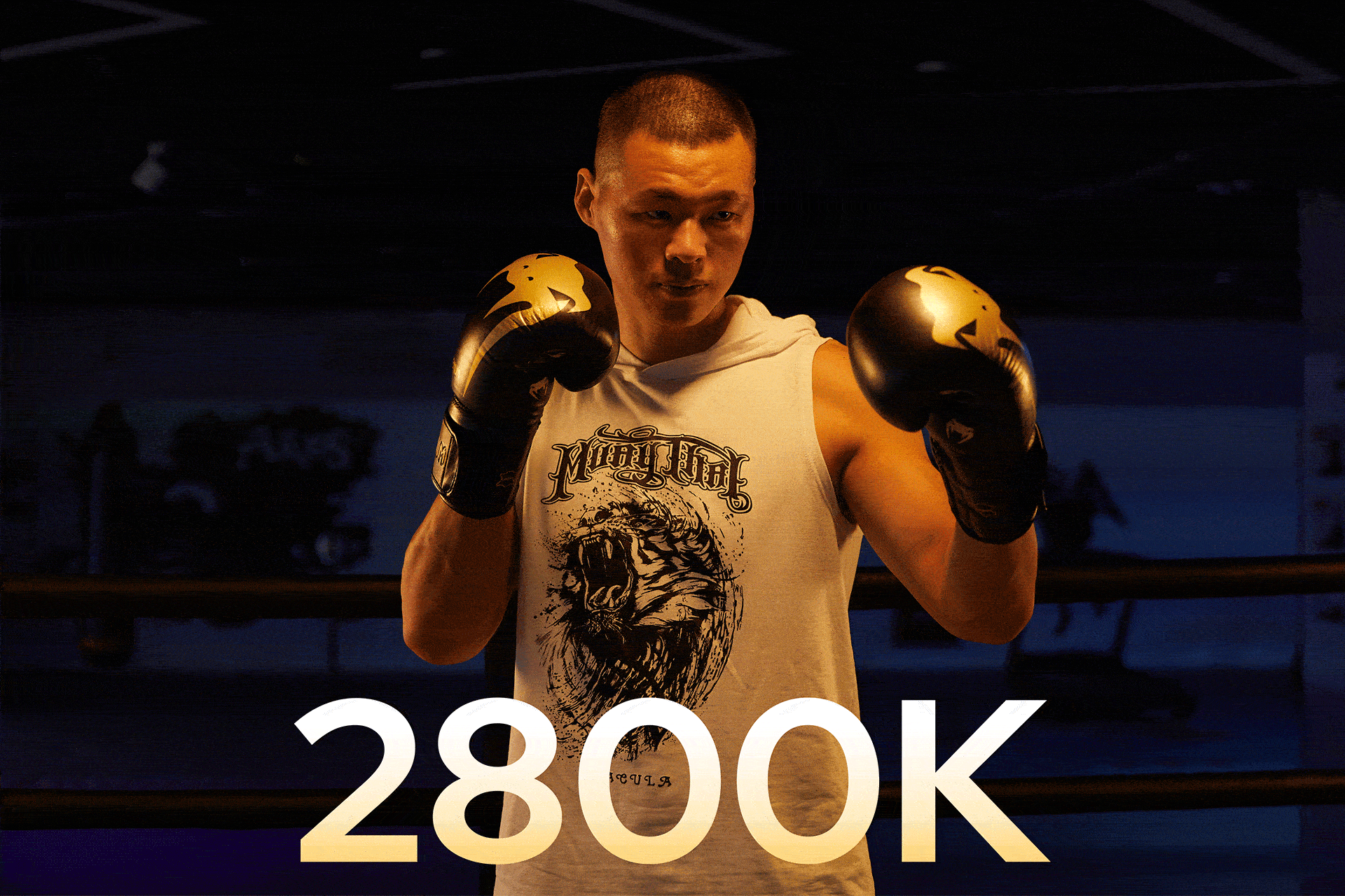 Godox LDX50R/نماکم