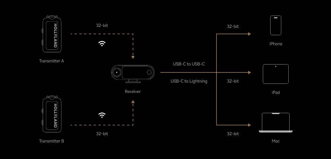 Wireless Microphone System/نماکم