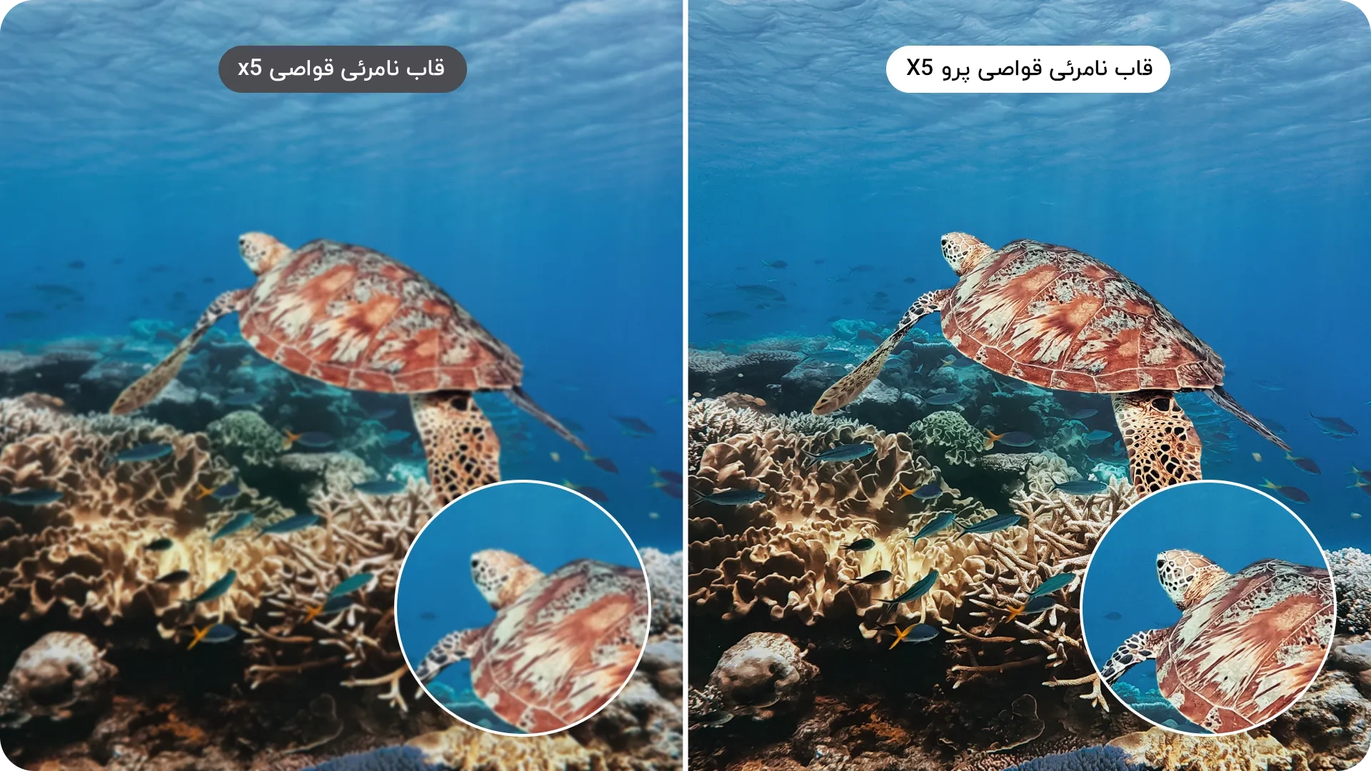 قاب ضد آب اینستا360 ایکس 5 پرو – اصلی – Insta360 X5 Invisible Dive Case Pro/نماکم