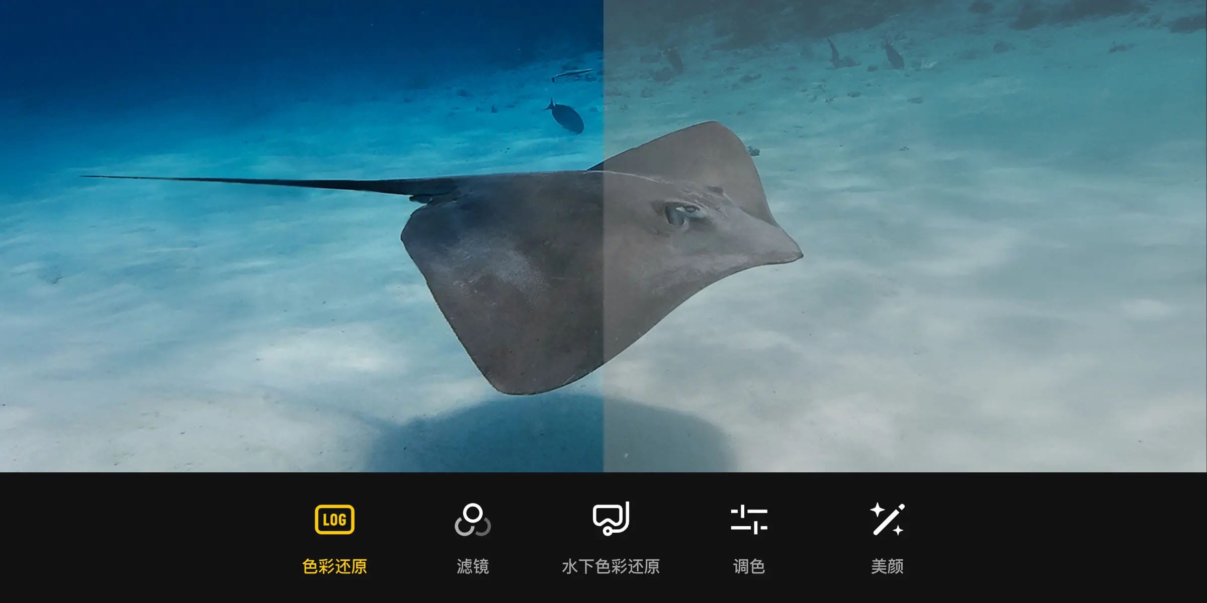 دوربین اسمو6/نماکم