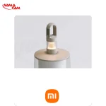 چراغ فانوسی دو کاره